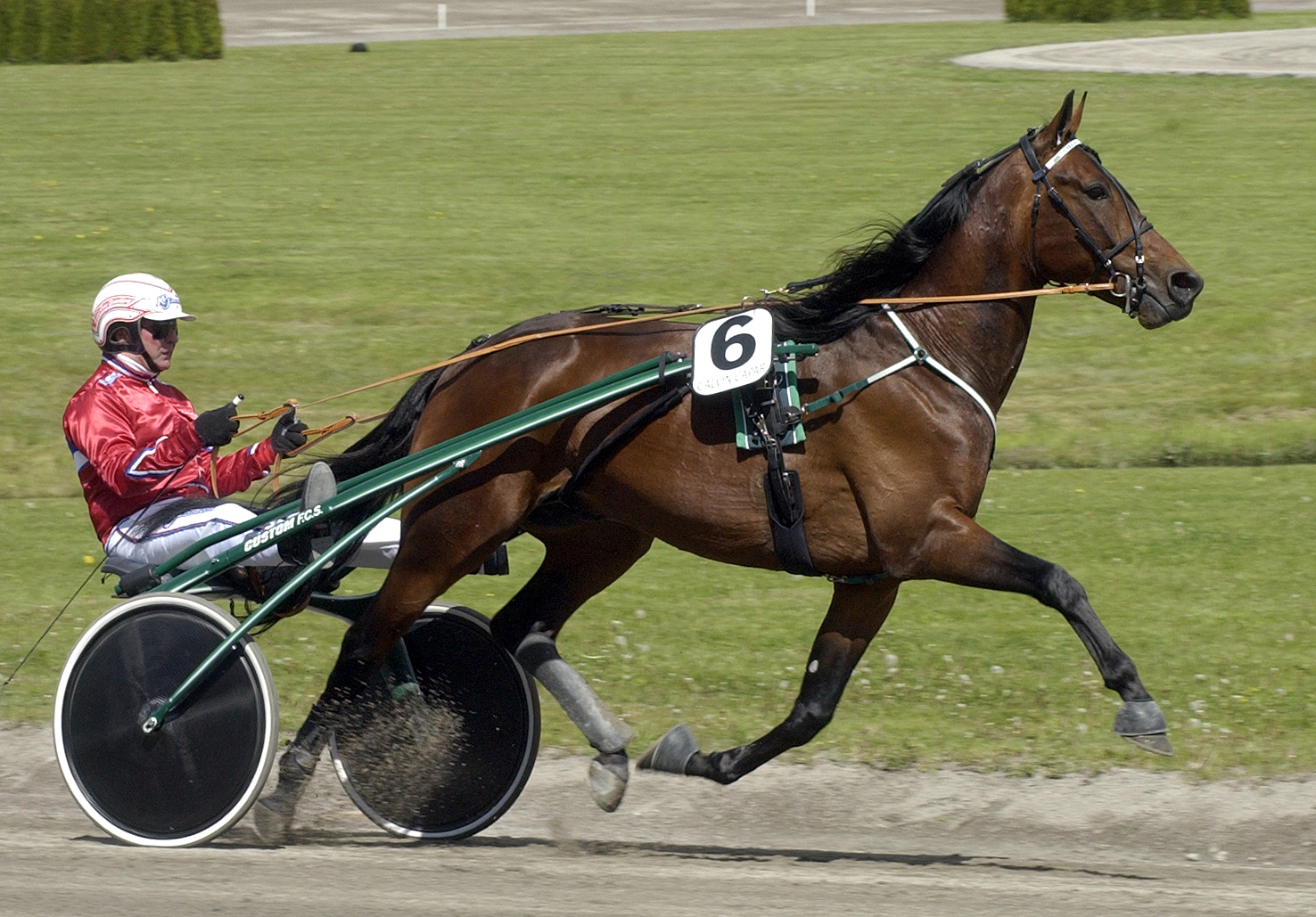 Calvin Capar Elitloppshelgen-04 008